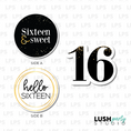 Load image into Gallery viewer, sweet sixteen birthday photo booth prop sign
