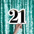 Load image into Gallery viewer, twenty first 21 birthday photo booth prop sign
