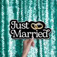 Load image into Gallery viewer, Just married wedding Photo Booth Prop Word Sign
